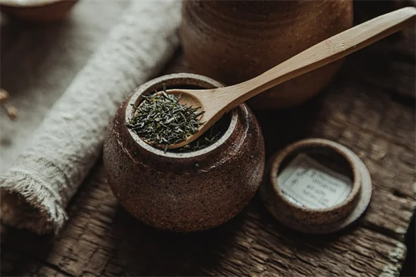 有毒植物のよくある誤解3選｜知らないと危険な自然の真実