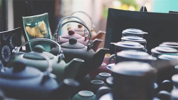 フェンス沿いのおすすめ植物10選！目隠しや日陰でも育つ品種を実体験から解説